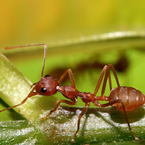 Meet your Posher, Sean